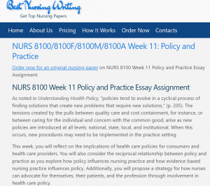NURS 8100 Week 11 Policy and Practice Essay Assignment