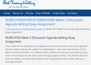 NURS 8100 Week 3 Discussion Agenda Setting Essay Assignment